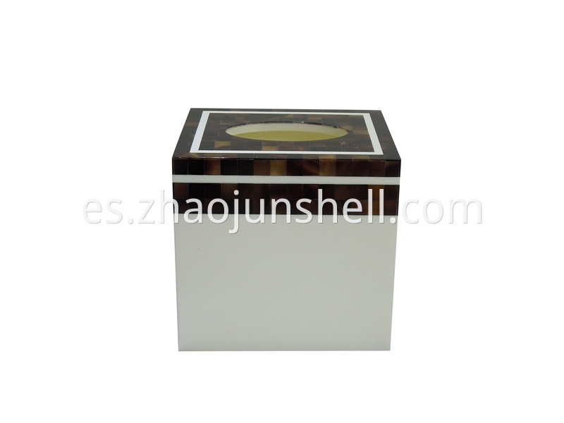 pen shell tissue box